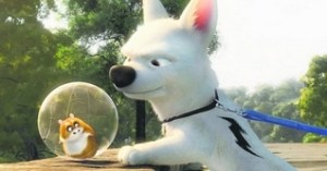 Rhino, left, and Bolt prepare for action.