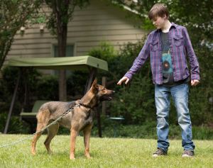 After his brother is killed in combat, Justin Wincott (Josh Wiggins) agrees to take ownership of his dog.  Photo courtesy of Warner Brothers